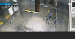 153312889843199c7c21342.gif